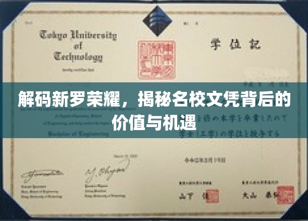 解码新罗荣耀，揭秘名校文凭背后的价值与机遇