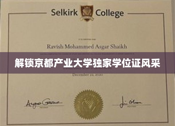 解锁京都产业大学独家学位证风采
