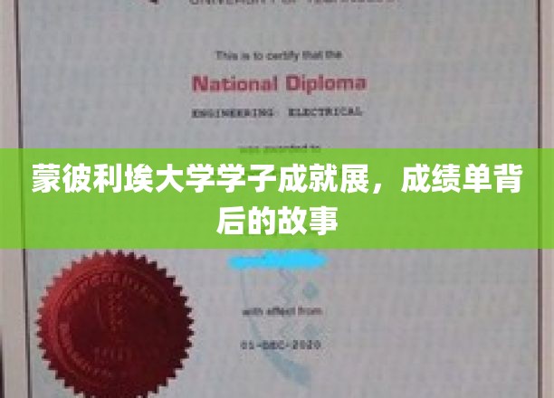 蒙彼利埃英才荟萃，揭秘学子辉煌背后的奋斗足迹