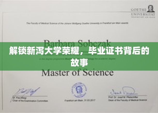 探寻新泻大学辉煌印记，毕业证书背后的传奇历程