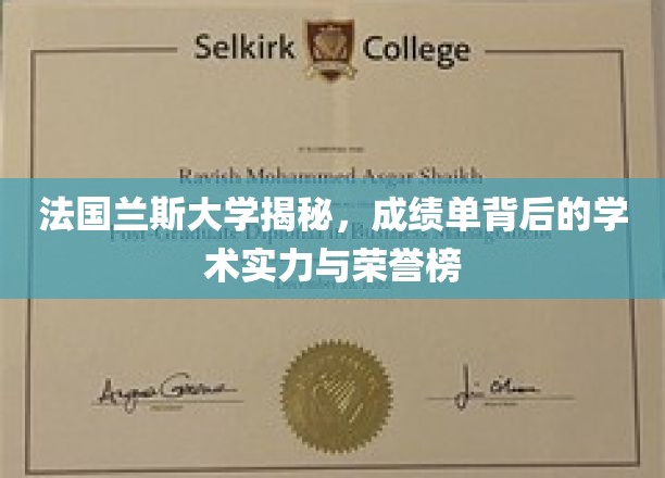 法国兰斯大学揭秘：成绩单背后的学术实力与荣誉榜