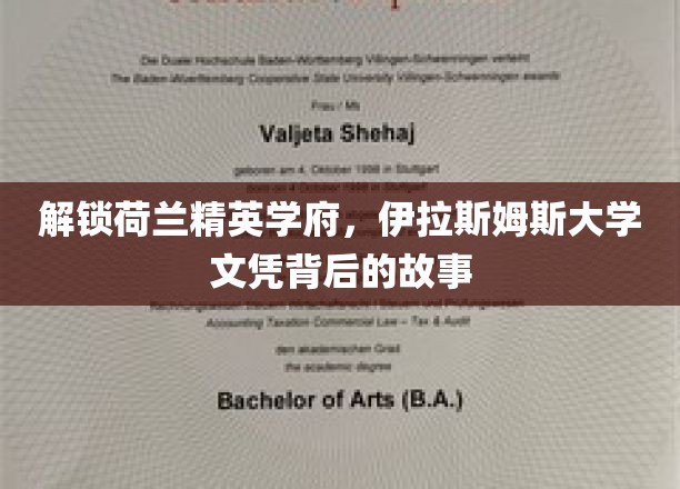 荷兰精英学府伊拉斯姆斯，探寻文凭背后的非凡历程