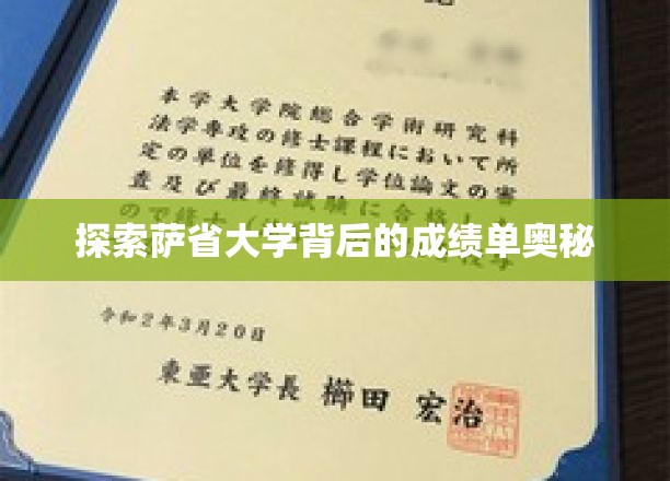 揭秘萨省大学卓越成绩背后的秘密力量