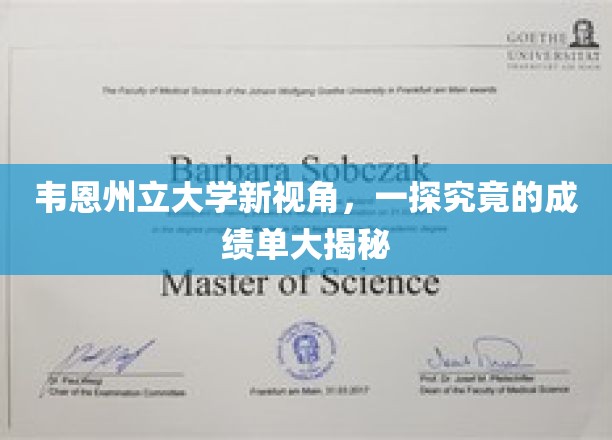 韦恩州立大学成绩单背后，揭开教育创新的风向标