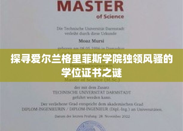 爱尔兰格里菲斯学院学位证书的独到魅力