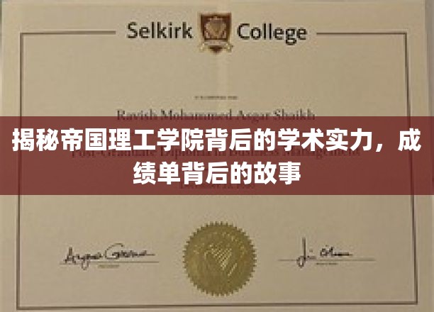 探寻帝国理工学院卓越背后的学术秘境