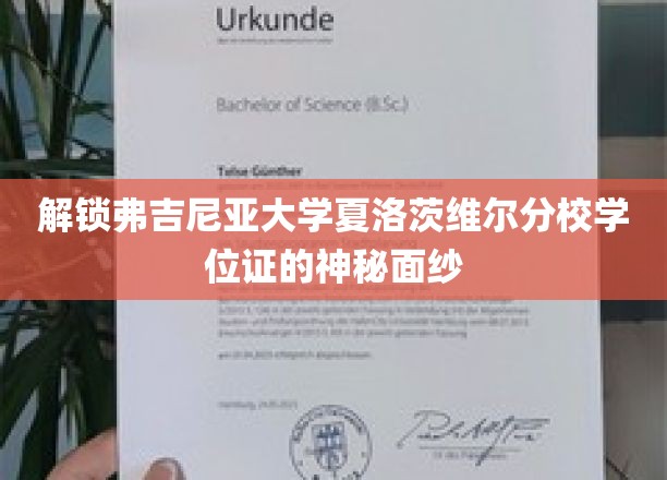 揭开弗吉尼亚大学夏洛茨维尔分校学位证的神秘面纱