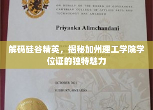 硅谷精英背后的秘密，加州理工学院学位证的非凡之谜