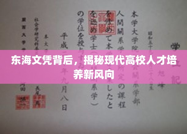 解码东海文凭，高校人才培养新趋势探秘