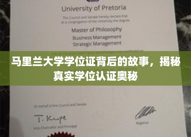 马里兰大学学位证背后的故事，揭秘真实学位认证奥秘