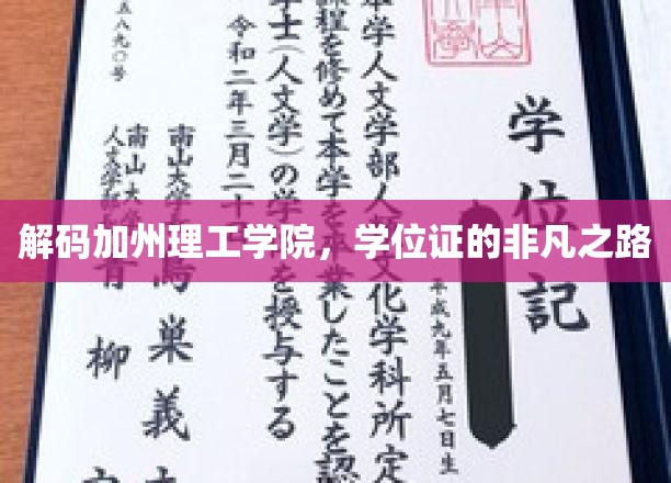 加州理工传奇，学位背后的非凡求学之旅