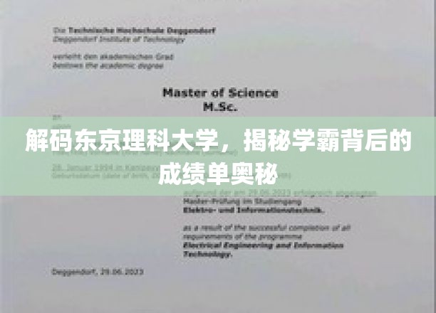 探索东京理科大学学霸秘籍，揭秘学术精英的成长轨迹