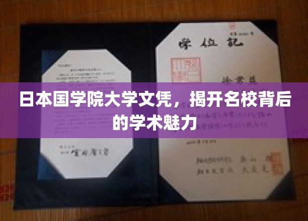 探寻日本国学院大学，名校光环下的学术风采