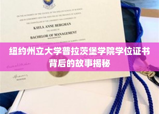 揭开普拉茨堡学院学位证书的神秘面纱，纽约州立大学的背后传奇