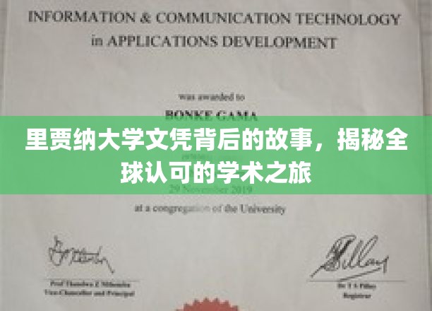 解码里贾纳大学，探寻国际认可的学位奥秘之旅