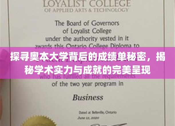 奥本大学揭秘，揭秘学术卓越与辉煌成就的惊人真相