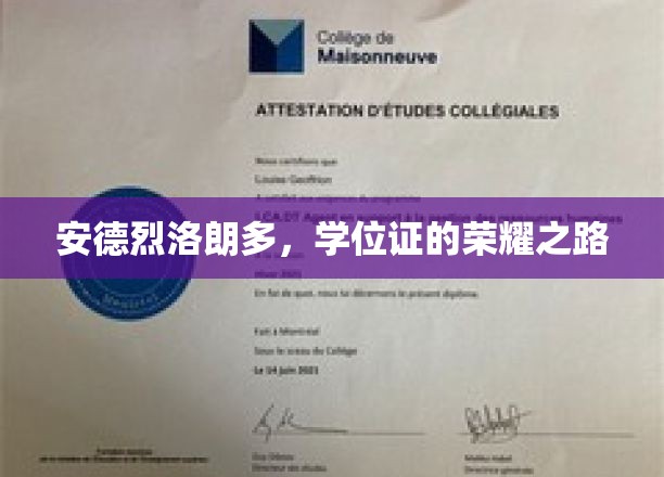 安德烈·洛朗多，学历成就的璀璨征程