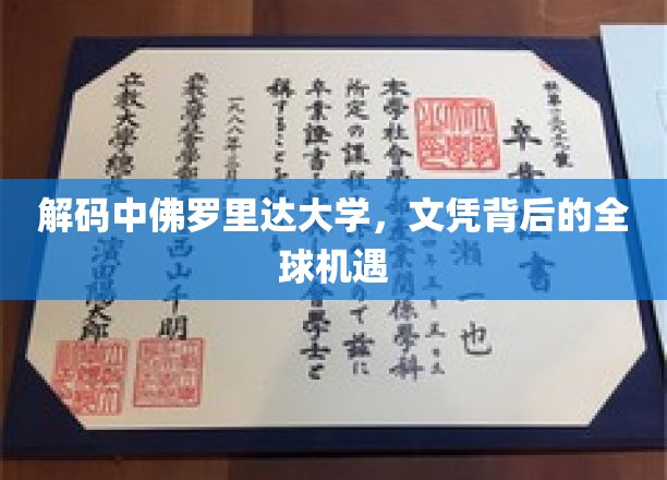 解码中佛罗里达大学，文凭背后的全球机遇