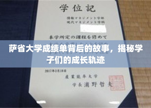 解码萨省大学成绩单，学子们成长轨迹的精彩篇章