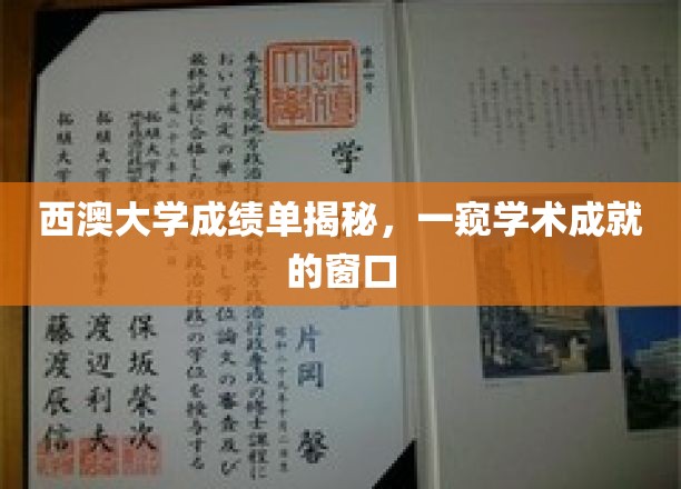 探寻西澳大学成绩单背后的学术世界