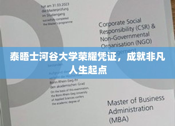 泰晤士河谷大学荣耀通行证，开启非凡人生新篇章