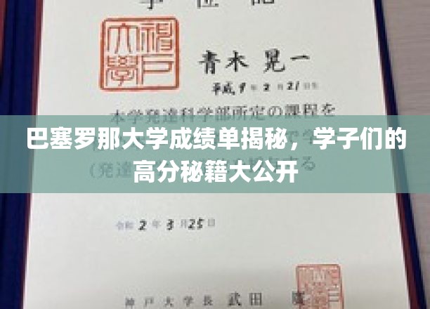 巴塞罗那学霸高分攻略，揭秘成绩单背后的学习奥秘