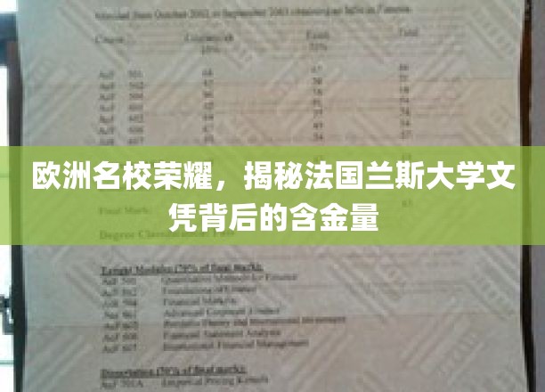 探寻法国兰斯大学文凭的欧洲名校光环与价值