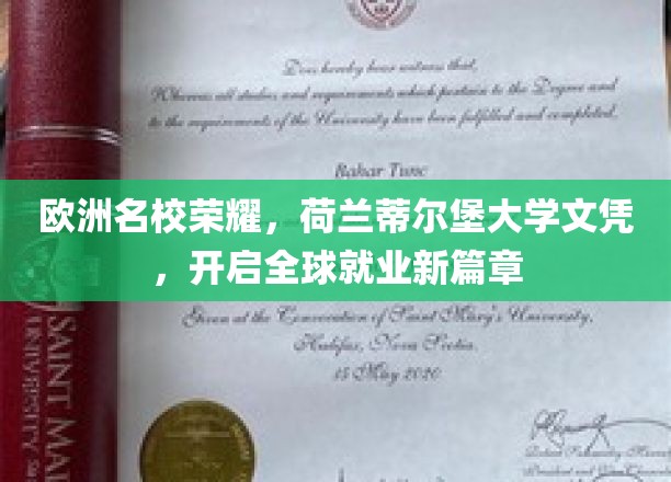 荷兰蒂尔堡大学荣耀绽放，国际职场新起点，文凭助力梦想腾飞
