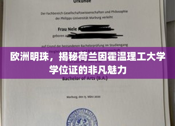 探寻荷兰因霍温理工大学的独特学位证，欧洲明珠的学术荣耀之光
