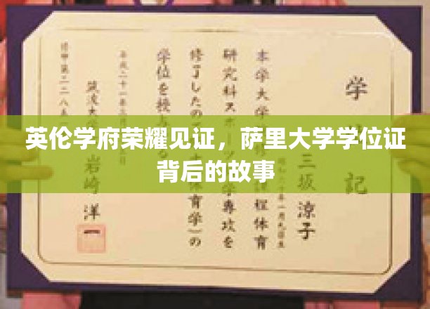 探寻萨里大学荣耀背后，学位证的传奇历程