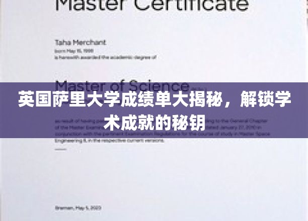英国萨里大学成绩单全面解析，揭秘学术成就的奥秘