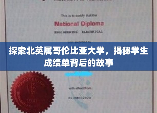 探索北英属哥伦比亚大学，揭秘学生成绩单背后的故事