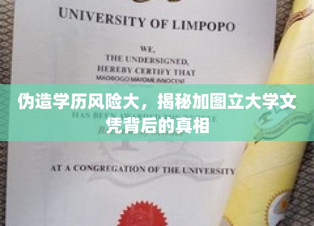 伪造学历风险大，揭秘加拿大圭尔夫大学文凭背后的真相