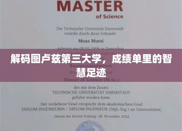 探寻图卢兹第三大学成绩单背后的智慧足迹