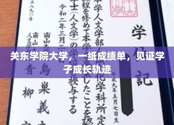 成绩单里的青春足迹，关东学院大学学子成长轨迹全记录