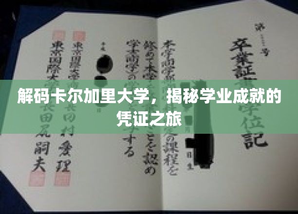 探寻卡尔加里大学，成就背后的学术之旅