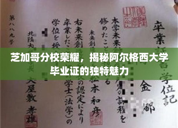芝加哥分校荣耀，揭秘阿尔格西大学毕业证的独特魅力