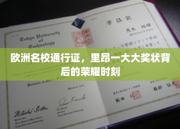 解锁欧洲名校之门，里昂大奖状背后的辉煌瞬间