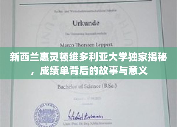探索惠灵顿维多利亚大学成绩单背后的奥秘，揭秘学术成就的深度与价值