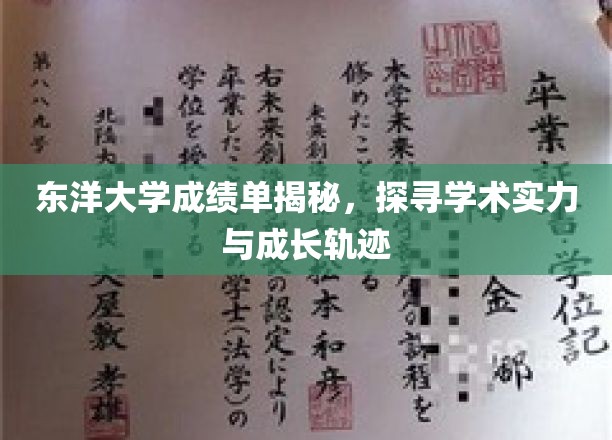 东洋大学成绩单揭秘，探寻学术实力与成长轨迹