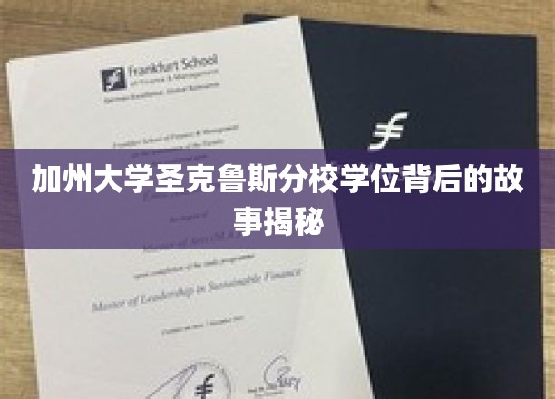 加州大学圣克鲁斯分校学位背后的故事揭秘