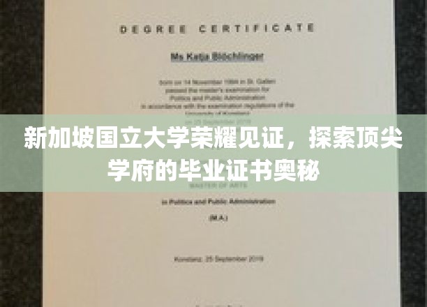 新加坡国立大学荣耀见证，探索顶尖学府的毕业证书奥秘