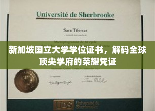新加坡国立大学学位证书，解码国际精英教育的象征