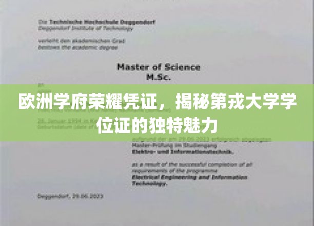 欧洲学术瑰宝，第戎大学学位证的非凡风采揭秘