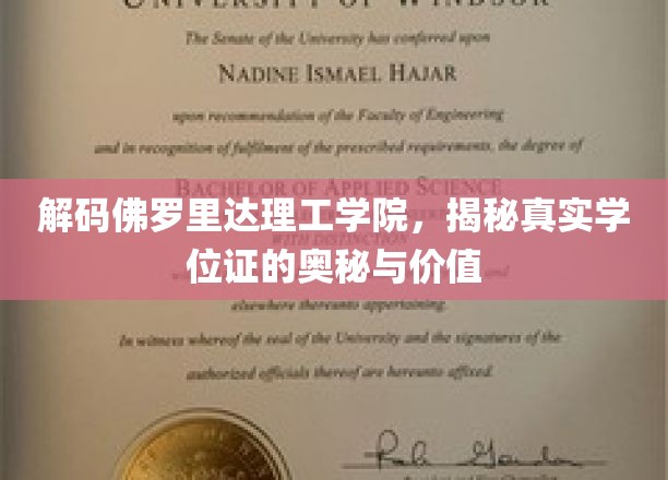 佛罗里达理工学院学位证之谜，探寻学历认证的内在价值