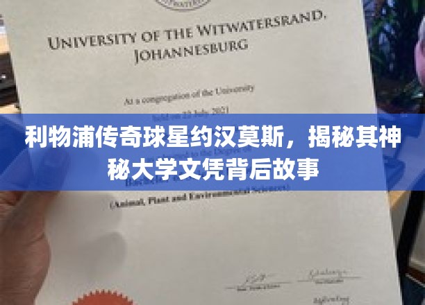 约汉莫斯大学文凭之谜，利物浦传奇球星的学术传奇背后