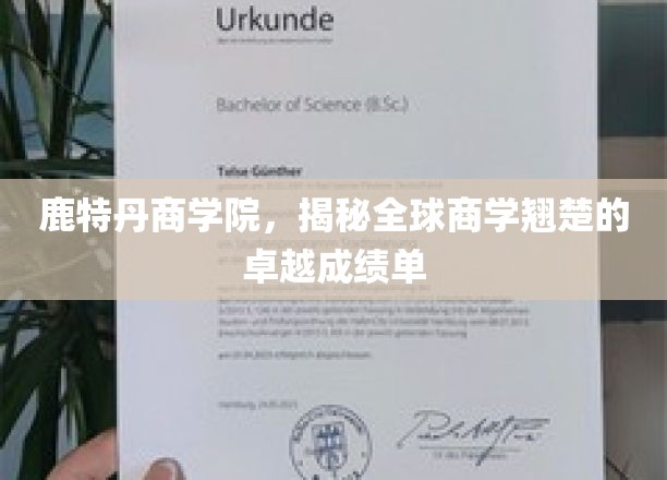 鹿特丹商学院，揭秘全球商学翘楚的卓越成绩单