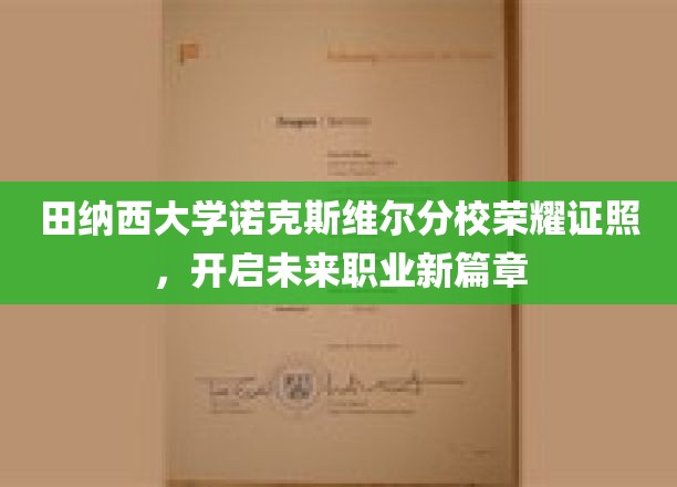 田纳西大学荣耀时刻，诺克斯维尔分校学子证书铸就辉煌职场起点