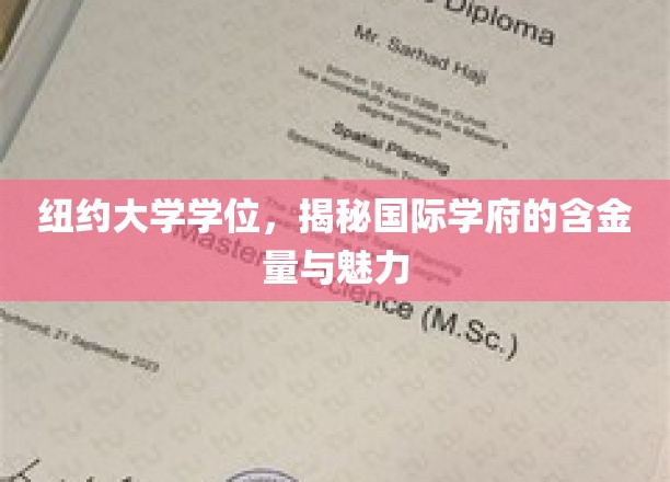 纽约大学学位背后的全球视野与价值探秘