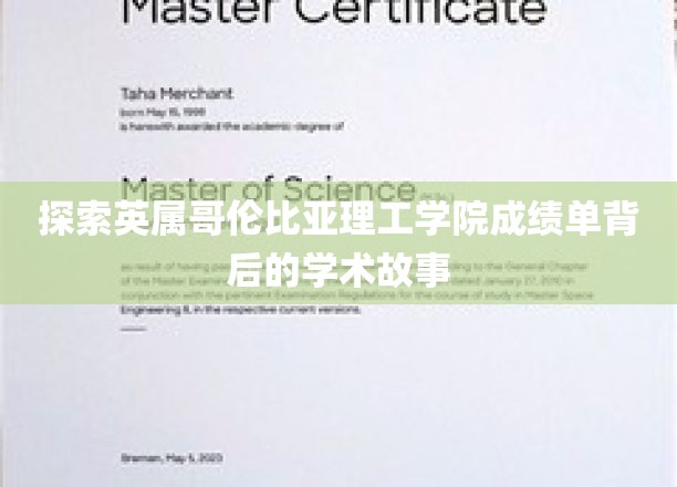 解码英属哥伦比亚理工学院，揭开成绩单背后的学术奥秘